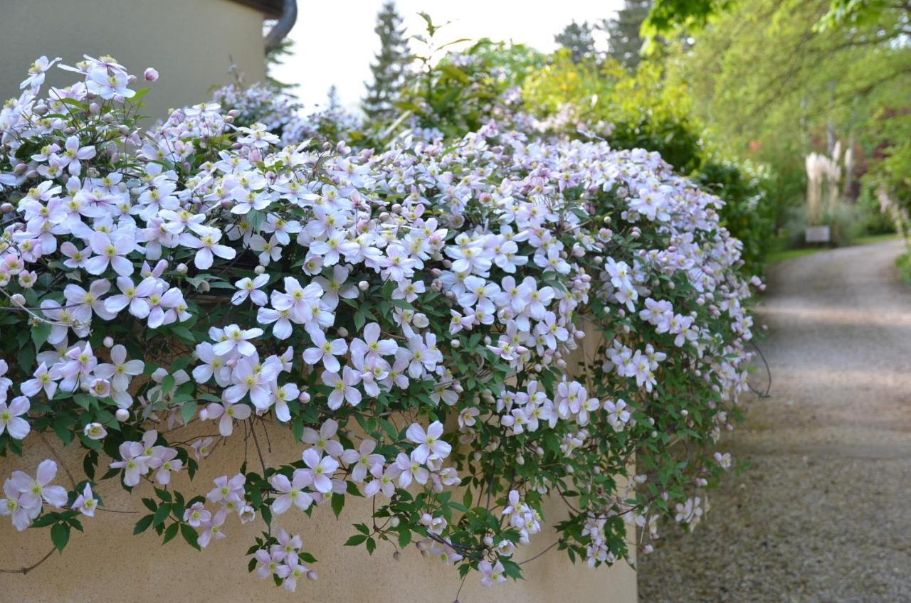 Le Clos Fleuri Bed and Breakfast Giverny Buitenkant foto
